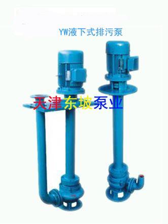 天津排污潜水泵